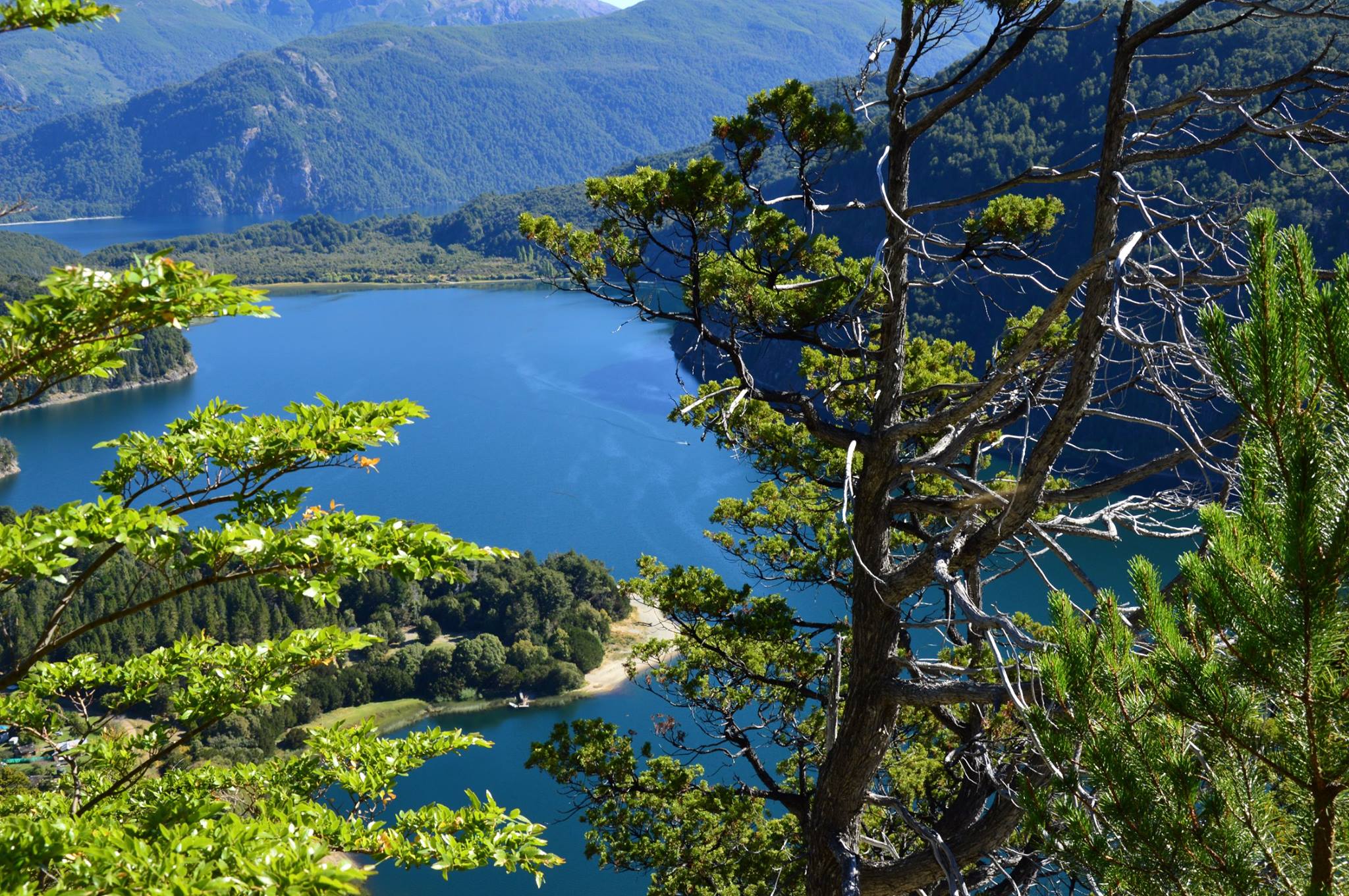 Parque Nacional Los Alerces